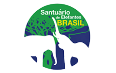 Santurio de Elefantes Brasil | Chaits Comunicao